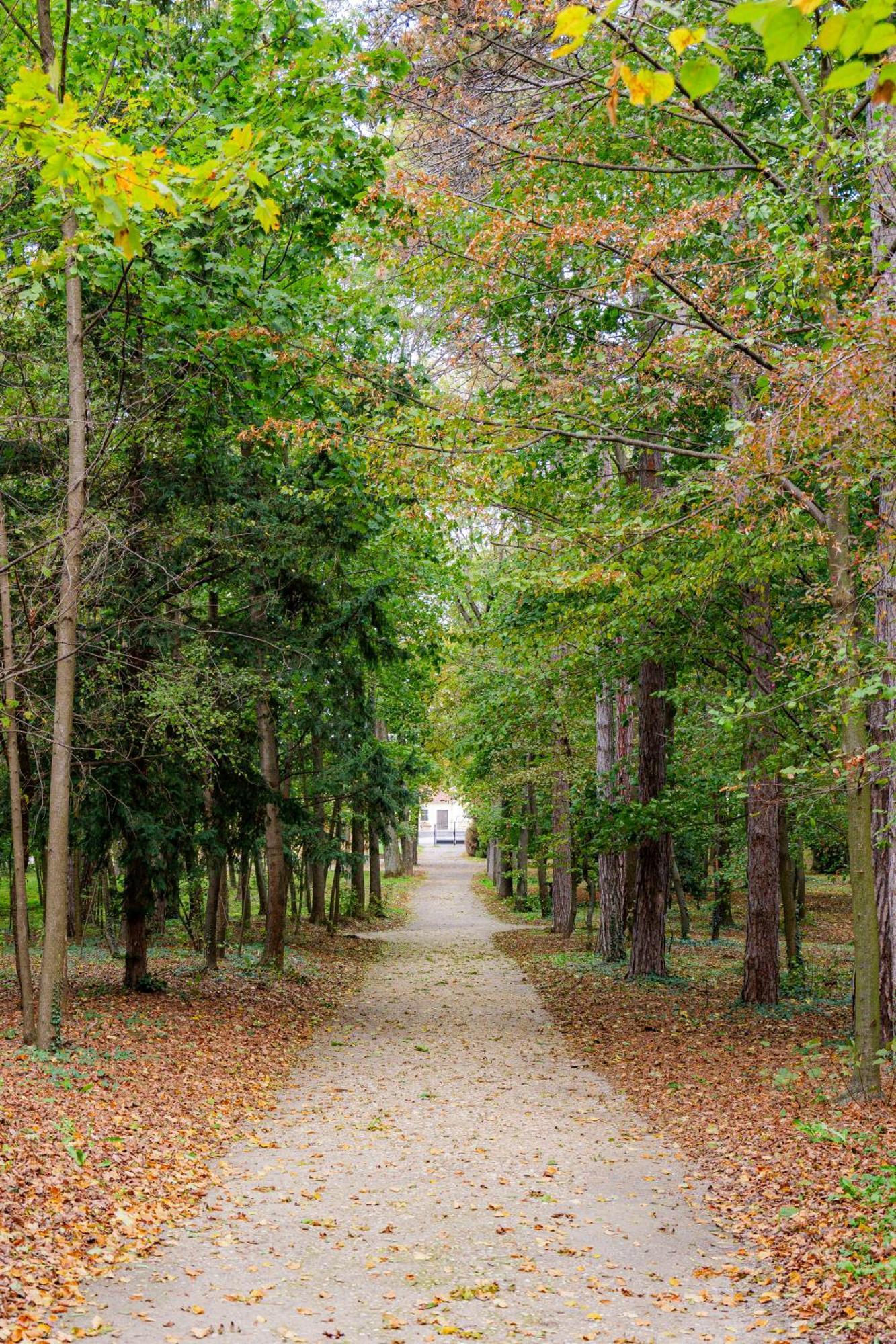 Villa Rose Close To Vienna & Airport Maria Ellend Εξωτερικό φωτογραφία