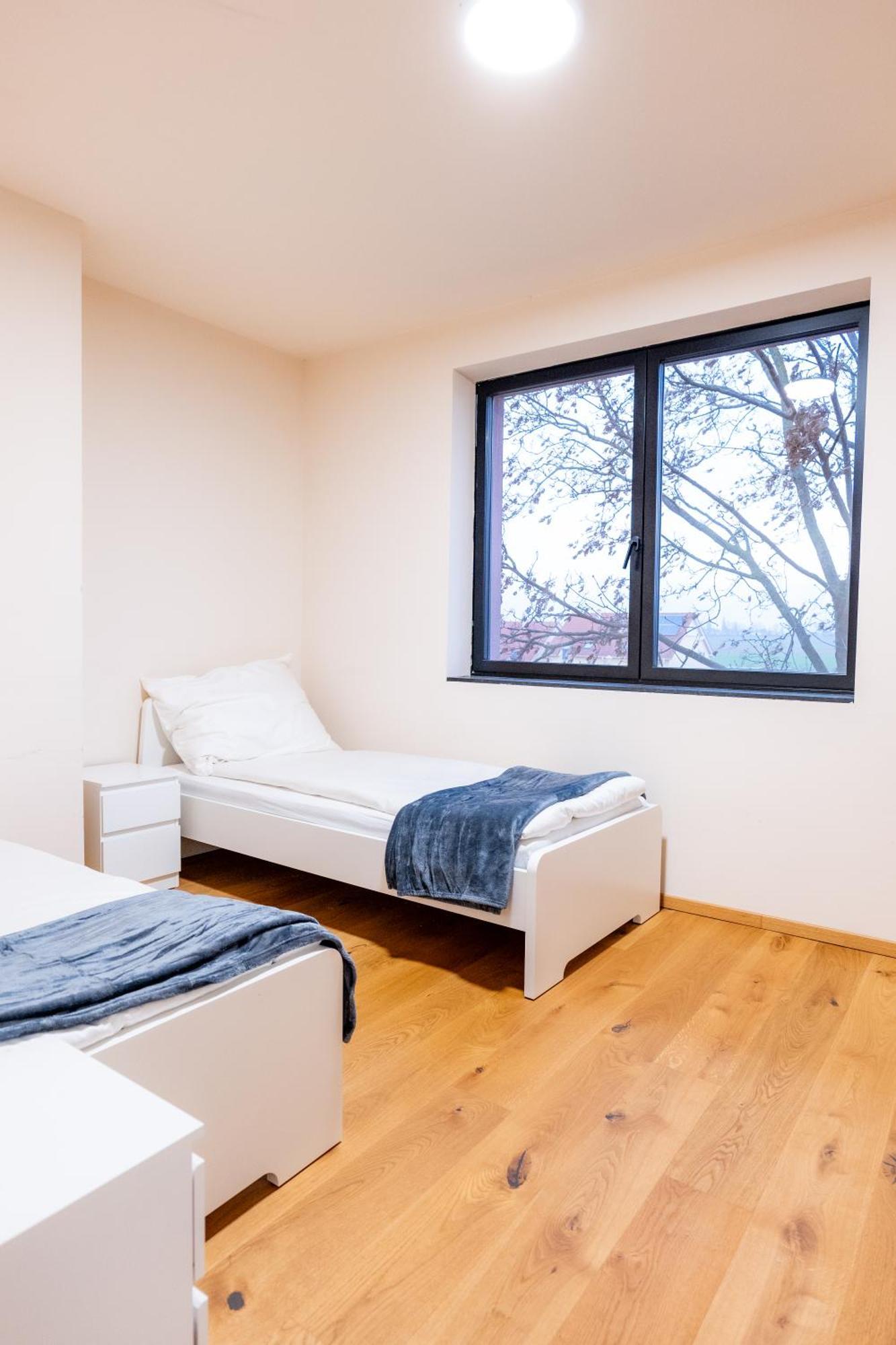 Villa Rose Close To Vienna & Airport Maria Ellend Εξωτερικό φωτογραφία
